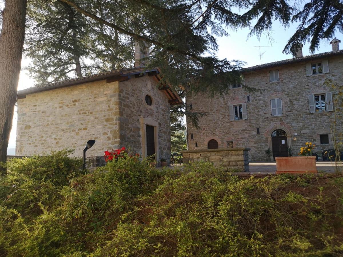 Apart-hotel Coldimolino 4*